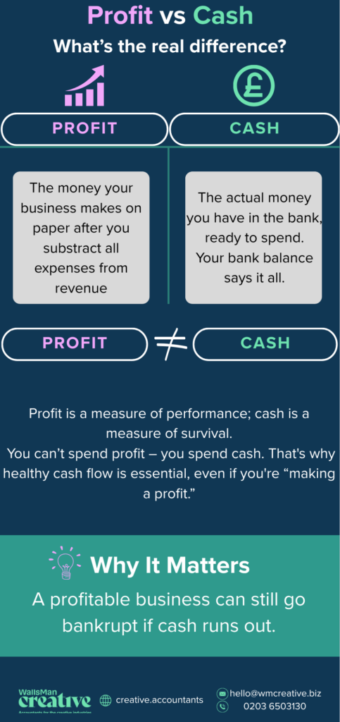 difference between cash and profit infographic explained
