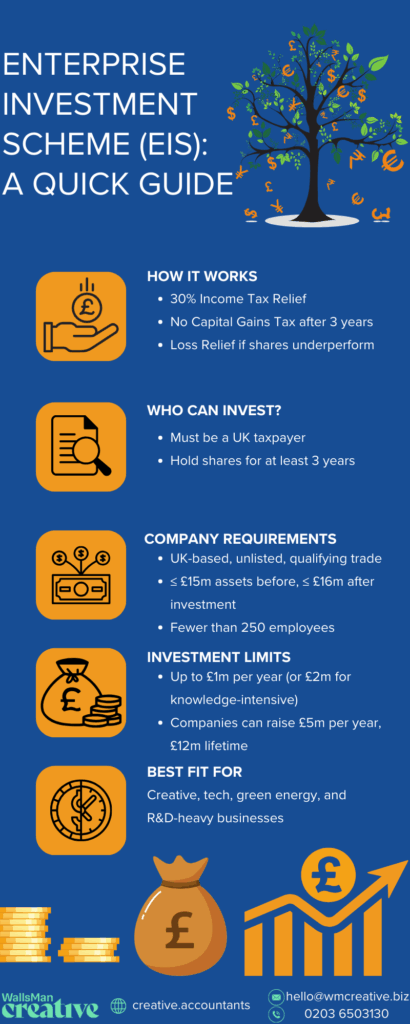 enterprise investment scheme quick guide on how it works and who can invest